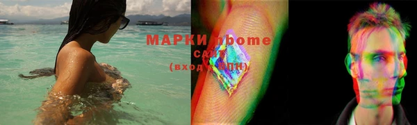 прущие грибы Ростов