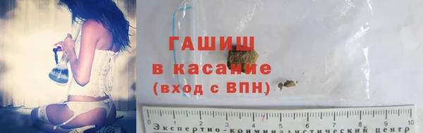 прущие грибы Ростов