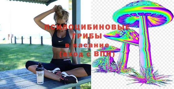 прущая мука Рославль