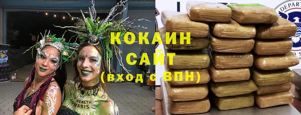 прущие грибы Ростов