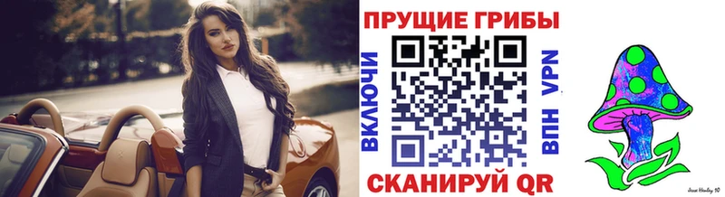 где купить наркоту  Няндома  Псилоцибиновые грибы мицелий 